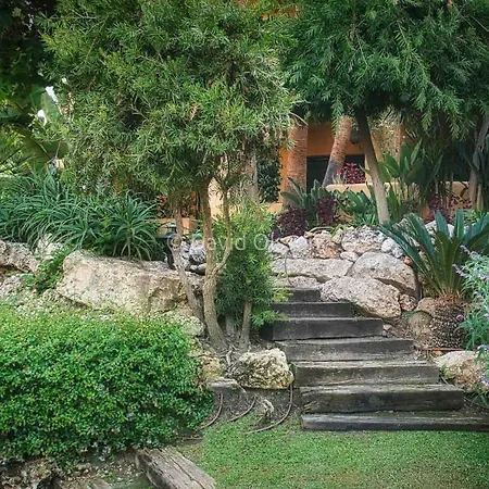 Marbella Luxury Fast Internet Netflix